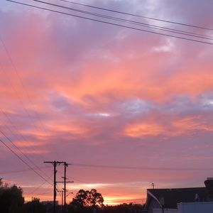 Meet your Posher, Katrina